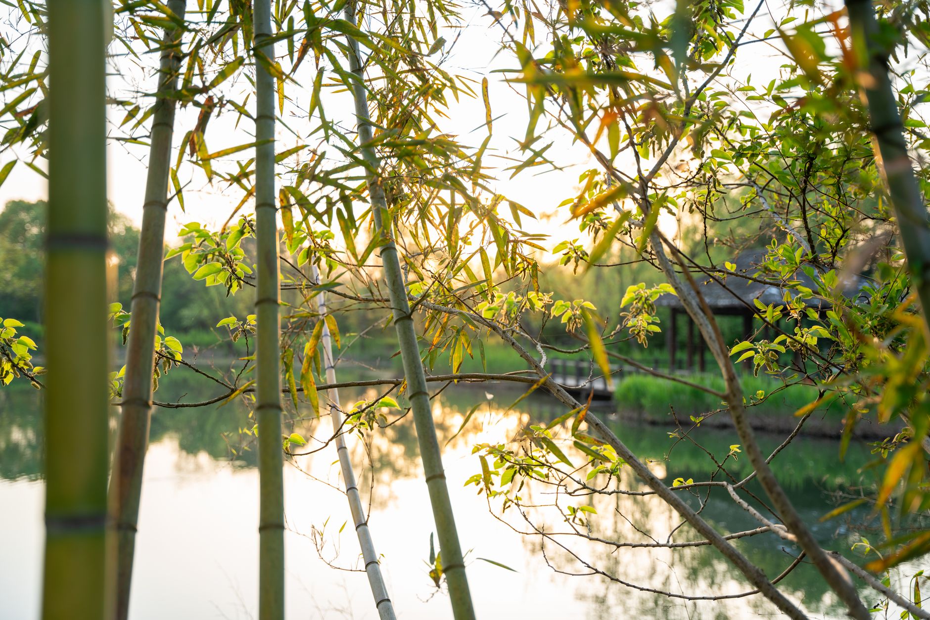 BambooHR ou Sage HR: quel SIRH choisir pour une PME